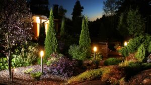 Garden at Dusk